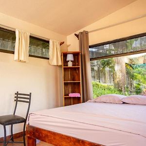 Manuel Antonio Hostel